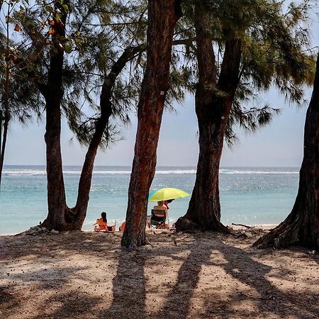 Le Nelson, T2 Au Coeur De L'Ermitage-Les-Bains Lägenhet Saint-Gilles-les Bains Exteriör bild